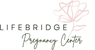 Lifebridge logo
